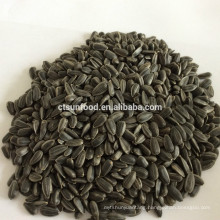 small sunflower seeds sunflower seeds for sprouting sunflower seeds for oil